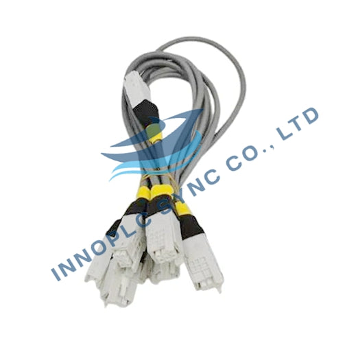 Honeywell | 51202971-100 | I/O Link Cable