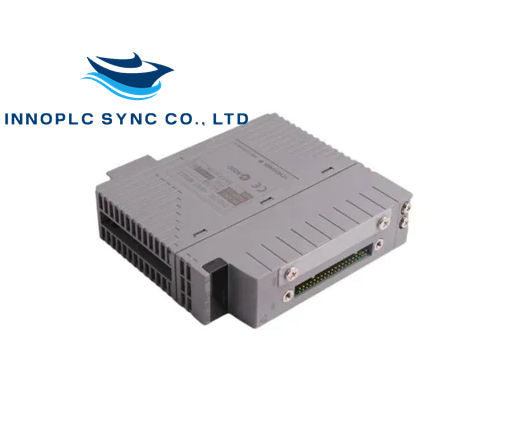 Yokogawa | AAI841-H00 | 8-channel Analog Input/Output Module