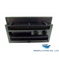 GE Fanuc IC200MDL241 | Discrete Input Module