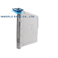 ICS Triplex | T8461C | Digital Output Module